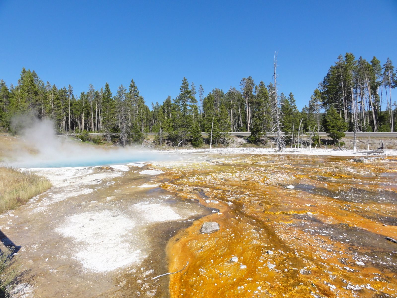Colorful geothermal spring in Yellowstone National Park